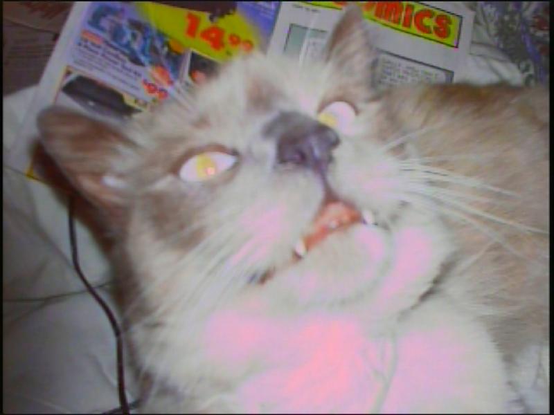 frankie